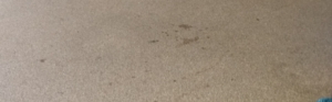 Steentapijt versleten?  TERREPOX® erover.