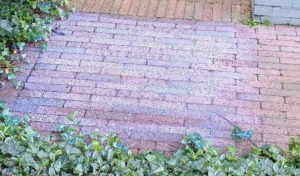 Erger u niet blauw, GRAVELFIXX trekt transparant.