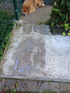 Erger u niet blauw, GRAVELFIXX trekt transparant.