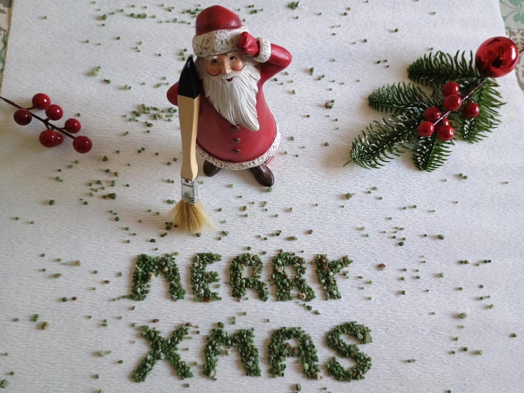 Losse steentjes borstelen beu? GRAVELFIXX op het kerstlijstje!