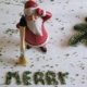 Losse steentjes borstelen beu? GRAVELFIXX op het kerstlijstje!
