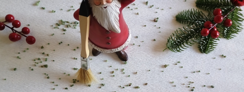 Losse steentjes borstelen beu? GRAVELFIXX op het kerstlijstje!